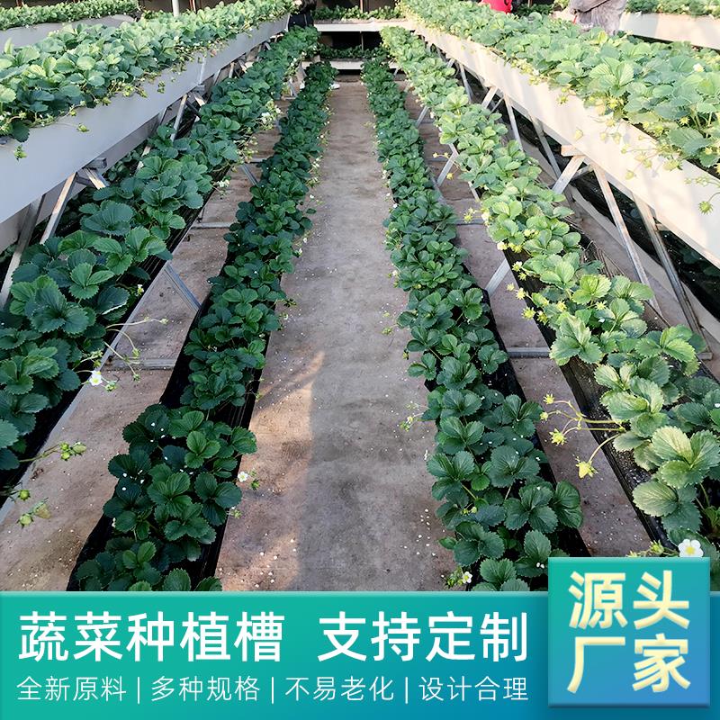 草莓种植槽温室大棚pvc立体自带排水槽蔬菜基质槽架无土栽培槽