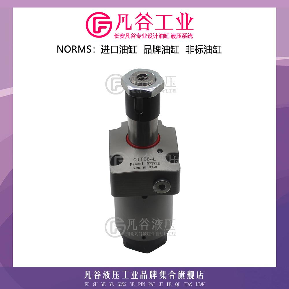 帕斯卡PASCAL单作用杠杆式油缸 CTT02/04/06-L工业模具转角液压缸