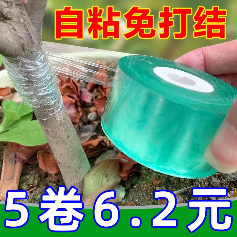 嫁接专用膜缠绕苗木捆扎保护拉伸自粘包装果树用果树嫁接方法