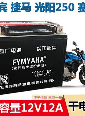 春风650NK机车电瓶12v12A国宾650NK400捷马光阳赛艇250干 干电池