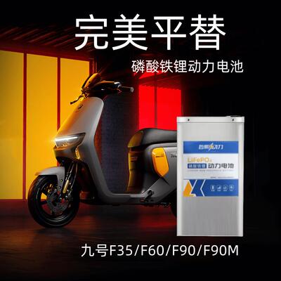 哲熙动力9号F2Z/F35/F60/F90/F90M电动车原装电池48v磷酸铁锂电池
