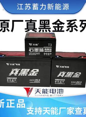 单一祇天能真黑金电瓶/电池12v13ah22ah35ah免维护
