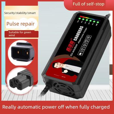 适用于乖乖兔电动车电瓶充电器48V60V72V80V84V96V20AH玉麒麟两孔