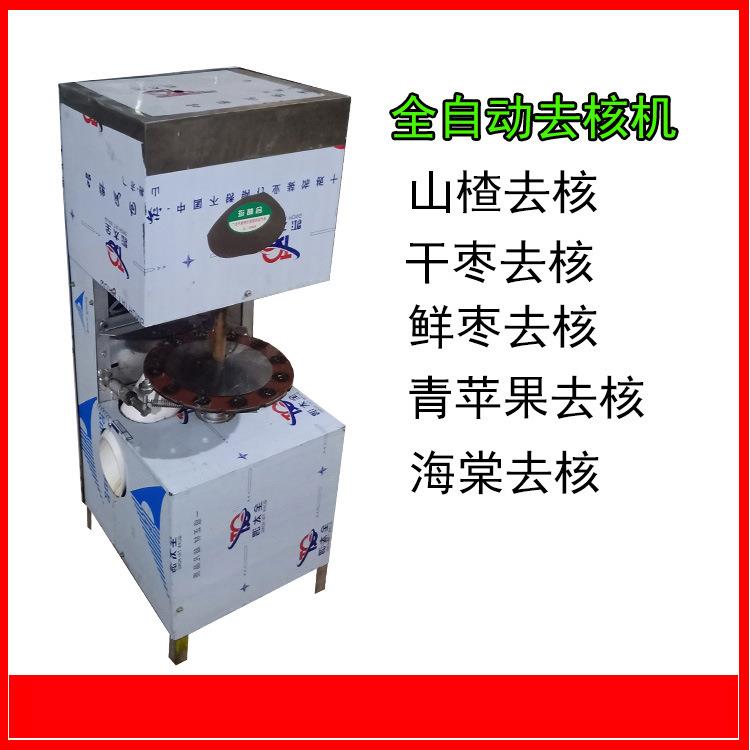 全自动山楂去核机红枣剥籽机山里红不锈钢去籽机山楂山里果去籽机