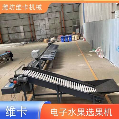 圣女果柑桔脐橙西红柿猕猴桃水果分级机 水果全自动无损分选机