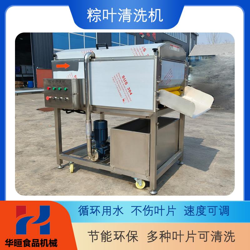 厂家直供小型粽叶清洗机高压喷淋去污 餐饮商用桑叶宽叶清洗设备