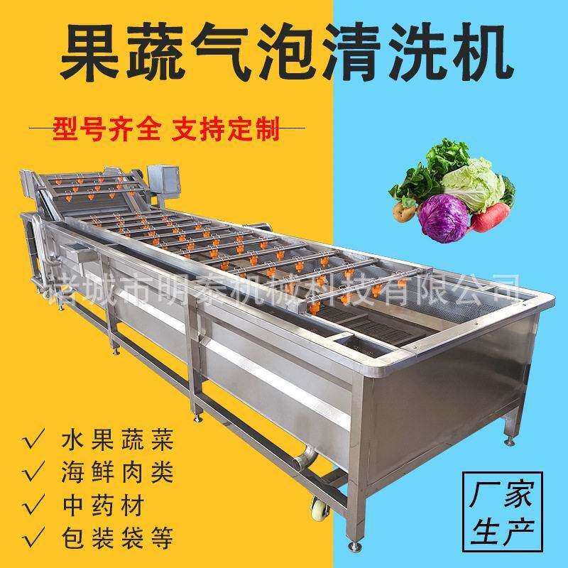 海鲜果蔬气泡清洗机 鱿鱼海带清洗设备 西红柿四季豆大型洗菜机