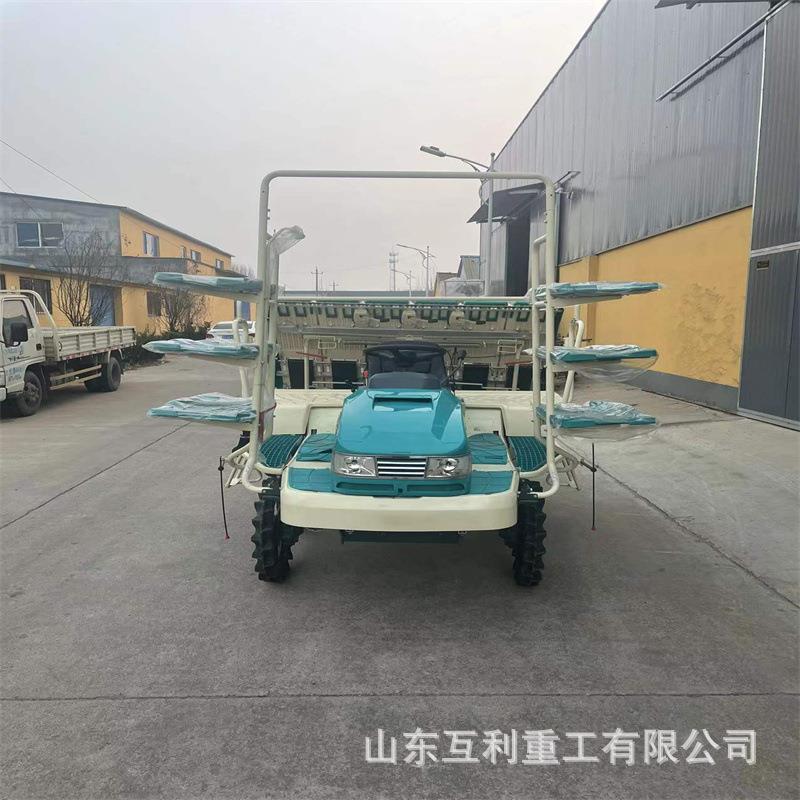 便携式手摇插秧机小型农田秧苗自动栽种机双行人力步退式载秧机