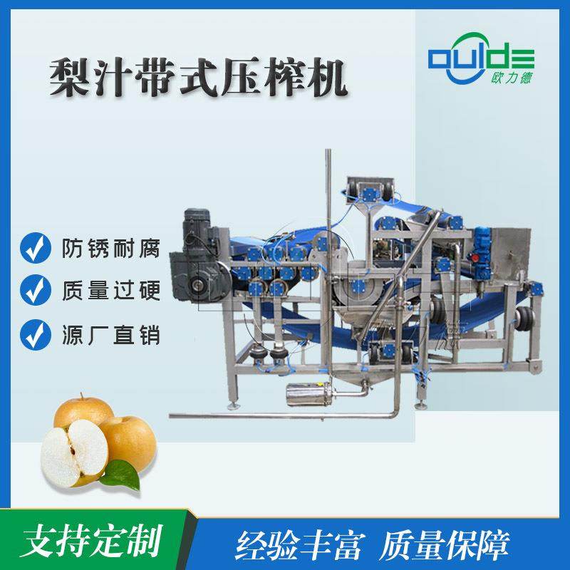 直售全自动商用梨汁带式榨汁机不锈钢工业蔬菜水果榨汁机脱水机,清洗/食品/商业设备,其他食品加工设备,淘宝优惠券,粉丝福利购,淘宝优惠卷