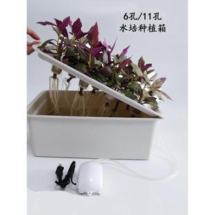 无土栽培蔬菜设备家庭室内种菜花卉水培种植花盆阳台种植箱种菜箱