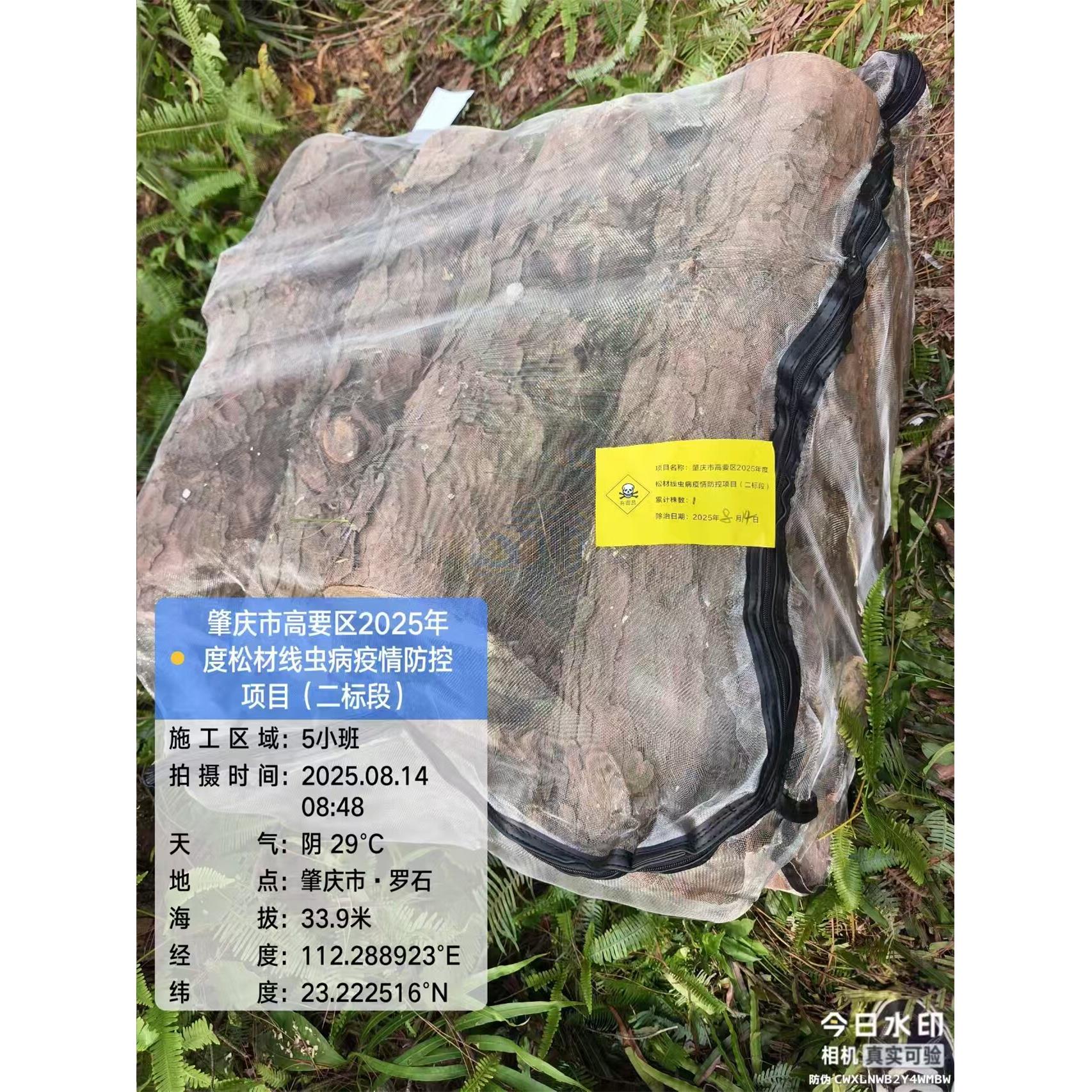 不锈钢网袋20目松材线虫隔离网马蜂专用袋