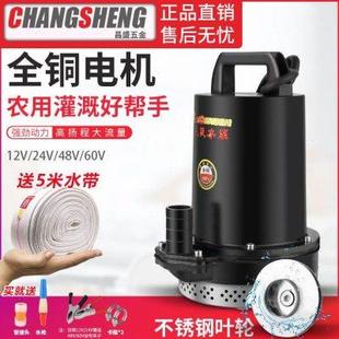 上海人民12V24V48V60V直流潜水泵抽水泵家用农用刷车电动车高扬程