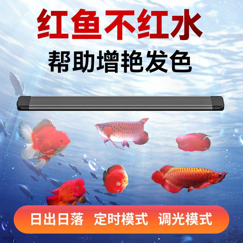 鱼缸增艳灯红龙专用灯鱼缸灯防水鱼缸LED灯支架灯红龙LED灯