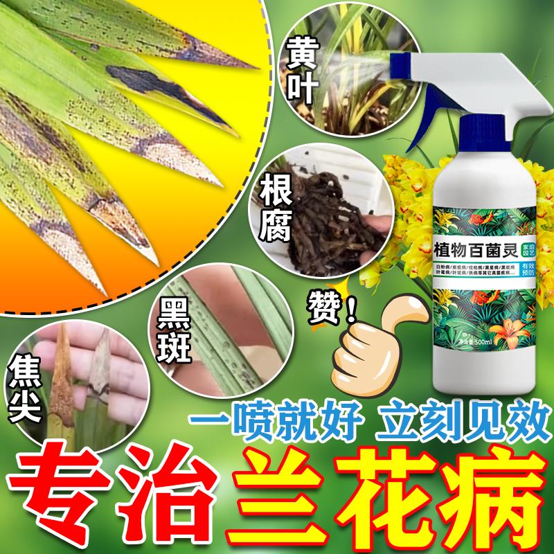 兰花专用杀菌药治黑斑病黄叶根腐病焦尖炭疽病营养液药百菌灵