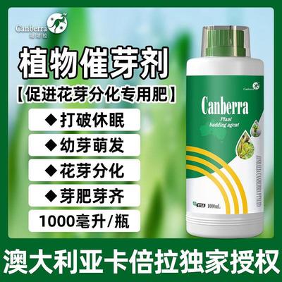 进口促花芽分化专用叶面肥柑橘茶树玫瑰蔬菜植物催芽剂花芽素授粉