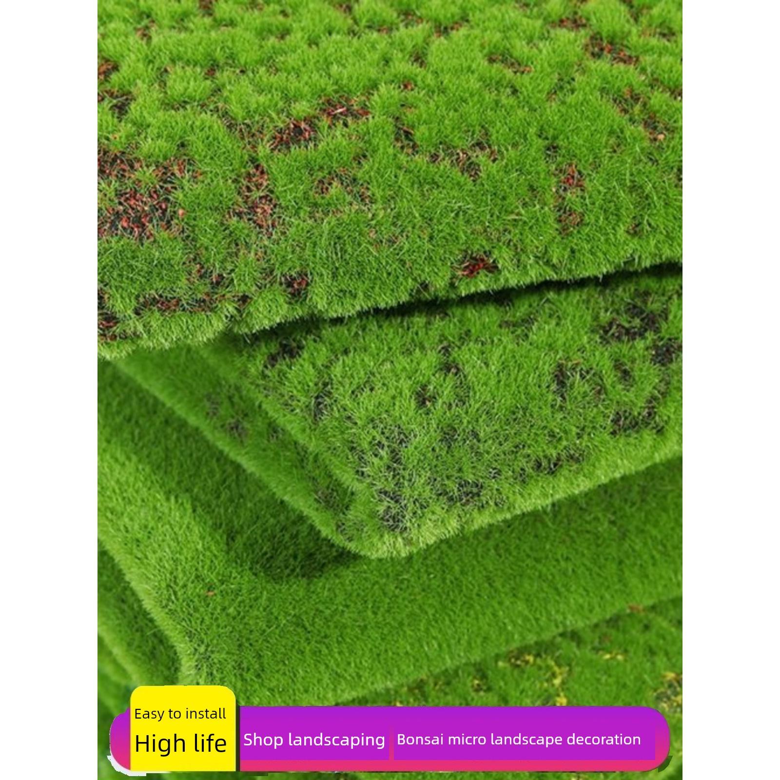 彷真苔藓草皮微景观盆景造景装饰假苔藓青苔植物墙绿植人造草坪