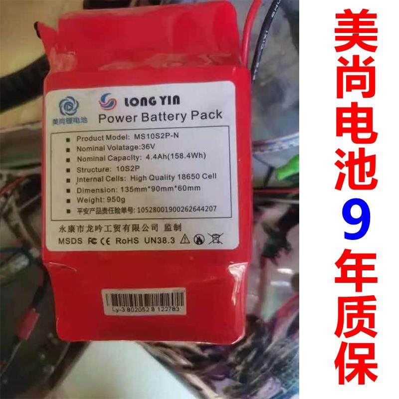 电动龙吟平衡车电池36v42v电瓶阿尔郎双轮扭扭车锂电池组专通用行