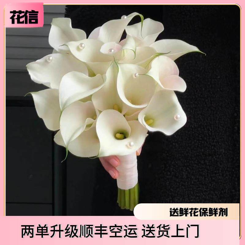 白色马蹄莲鲜花切花进口马蹄莲水养真花婚庆手捧花办公室水养鲜切