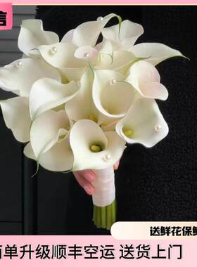 白色马蹄莲鲜花切花进口马蹄莲水养真花婚庆手捧花办公室水养鲜切