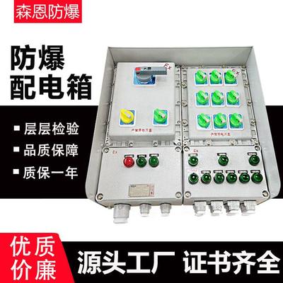 防爆配电箱照明动力仪表接线箱控制检修电源插座箱不锈钢配电柜