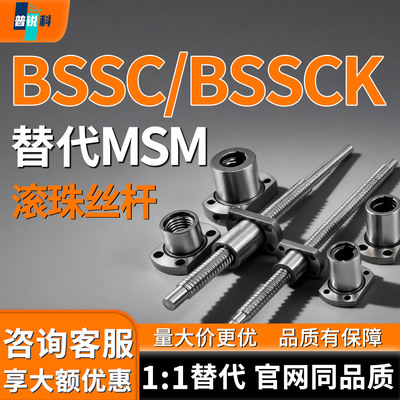 滚珠丝杆BSSC BSSCK2505-200 250 300 800 900 1000 2000-F27-P10