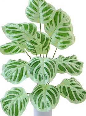 仿真果竹芋仿绿植装饰 客厅家居塑料盆栽摆件 庭院户外园艺植物