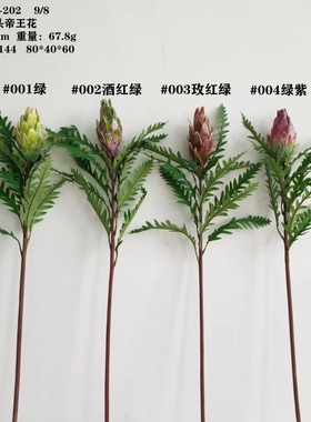 小头帝王花婚庆布景样板房设计插花家居装饰非洲国花客厅酒店