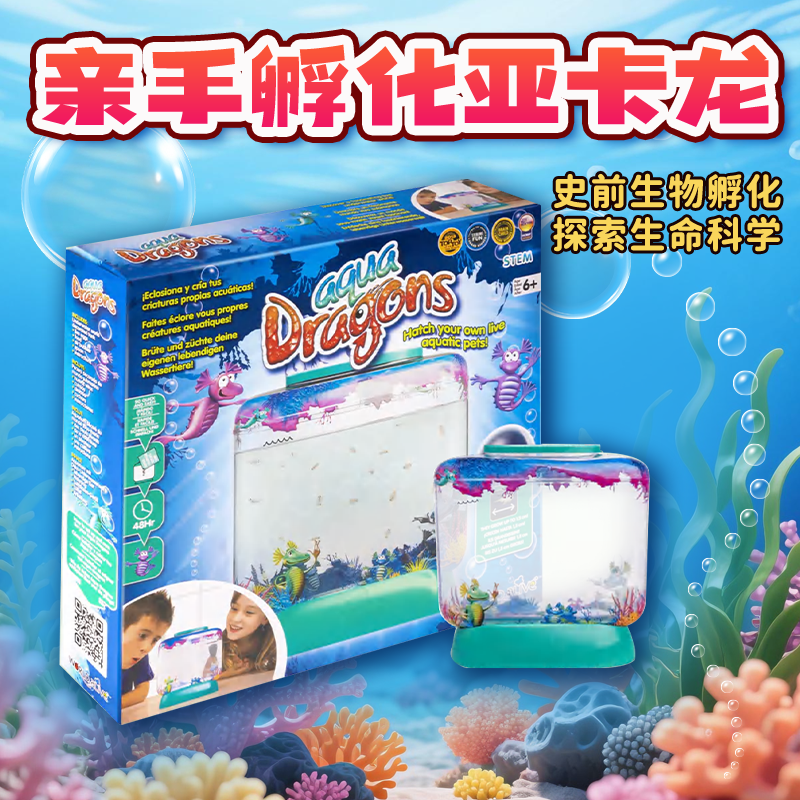 亚卡龙小海龙生物孵化套装鱼蛋卵饲养殖玩具学生科学实验宠物观察