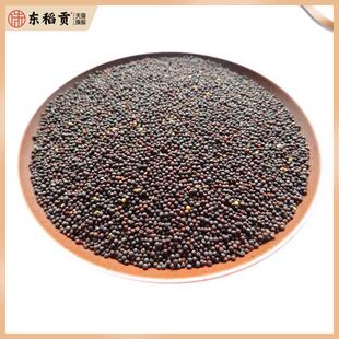 INDIAN SPICE 印度食品 香料 BLACK MUSTARD SEEDS 黑芥籽 100g
