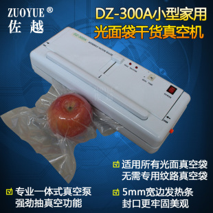 食品真空机 厂家DZ 300A小型光平面袋真空包装 机 家用真空封口机