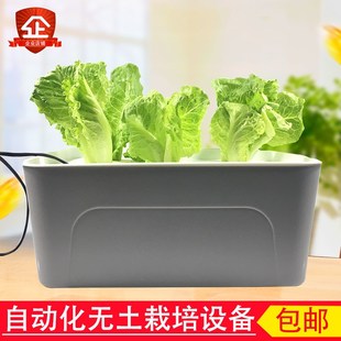 水培蔬菜种植箱i无土栽培设备家庭阳台自动化水耕种菜神器塑料花