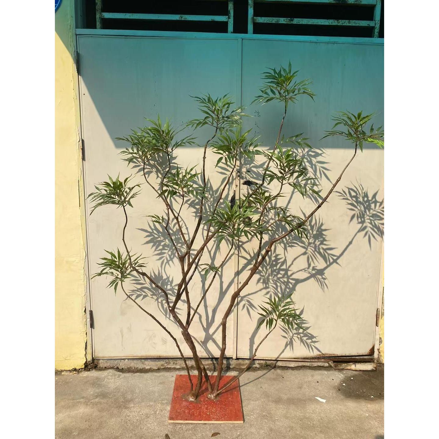 大型模拟绿色植物盆栽室内景观高雅易接近豪华彷生植物十佳蓝花樱
