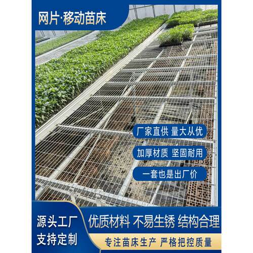 移动网片苗床热镀锌苗床温室育苗床蔬菜花卉种植苗床无土栽培