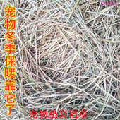 鸡窝稻草天然宠物窝鸡窝草干稻草装 饰填充狗鸭窝草道具谷草秸秆