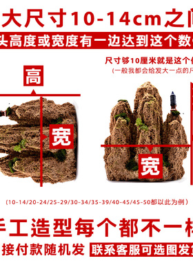 吸水石假山石盆景摆件造景上水石假山盆景原石奇石观赏石微景观