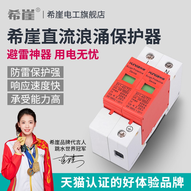 希崖光伏浪涌保护器2P 光伏直流浪涌保护器 防雷器 监控