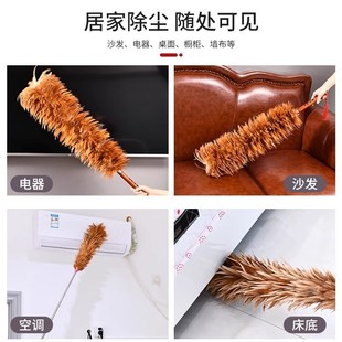 真鸡毛掸子家用扫灰可伸缩不掉毛车用打扫卫生防静电除尘禅子灰尘