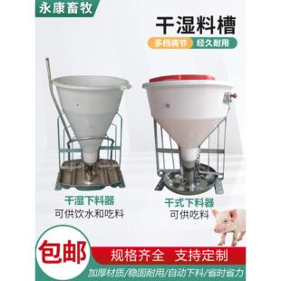猪食槽喂猪料桶大小猪用自由采食干湿两用保育自动下料不锈钢食槽