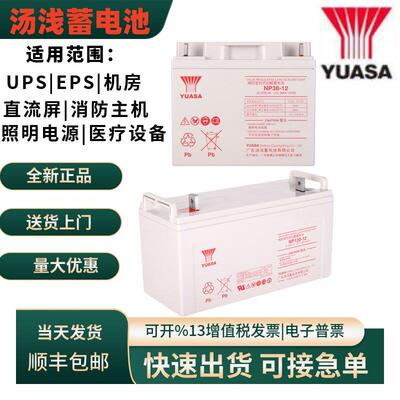 汤浅蓄电池NP100-12 12V100AH12V65AH12V120AH38AH24AH155AH200AH