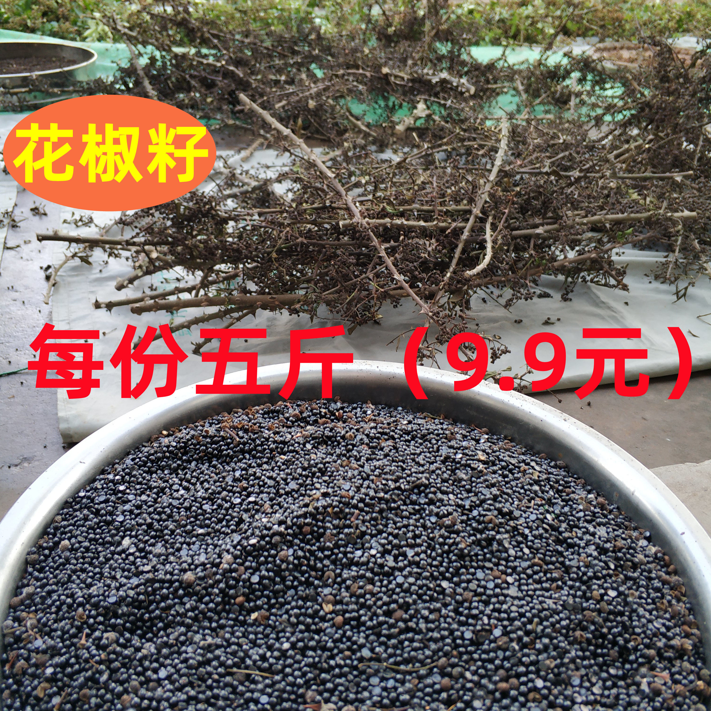 花椒籽 青花椒子籽2500克9.9元泡脚泡澡做肥料鸽粮饲料枕头5斤9.9