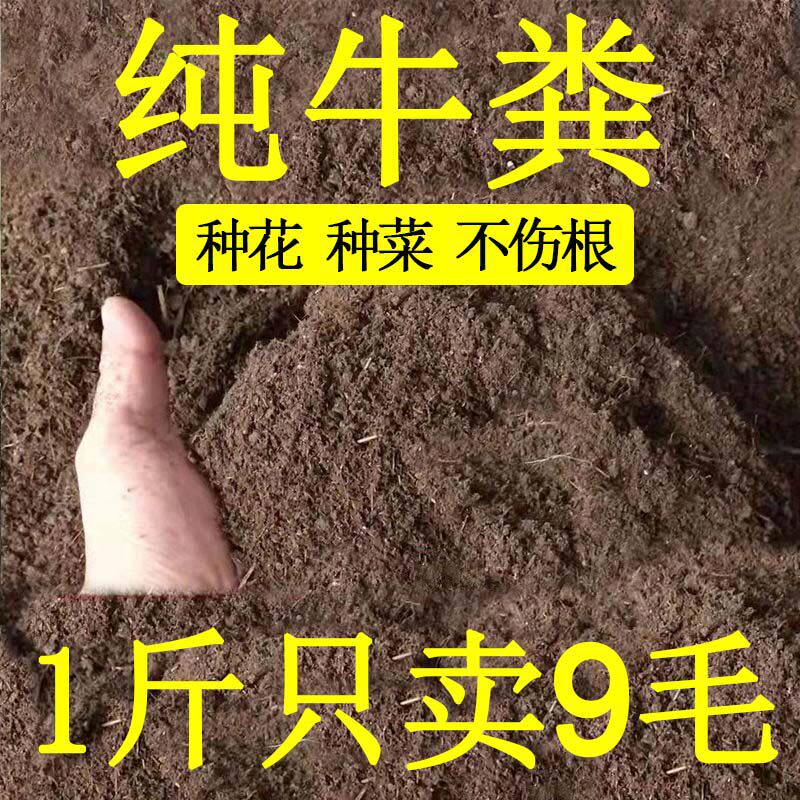 发酵纯牛粪肥饼纯干锯末蚯蚓土种花种菜专用营养土农家腐熟有机肥