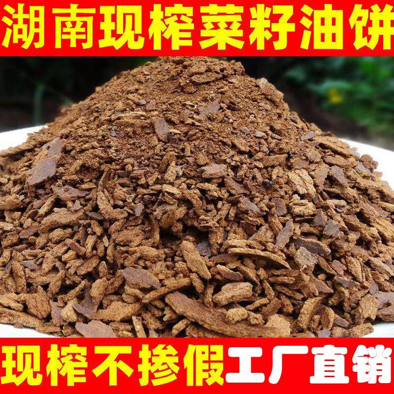 菜籽饼粉肥料 种菜钓鱼打窝料油饼方块野钓油枯 饼农家自榨菜籽油