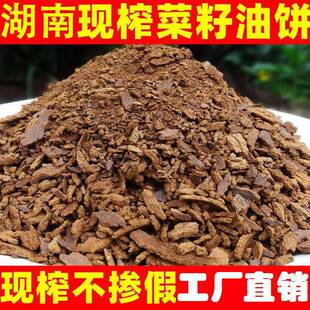 菜籽饼粉肥料 种菜钓鱼打窝料油饼方块野钓油枯 饼农家自榨菜籽油