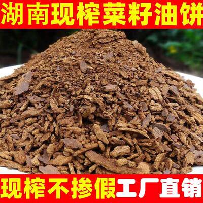 菜籽饼粉肥料 种菜钓鱼打窝料油饼方块野钓油枯 饼农家自榨菜籽油