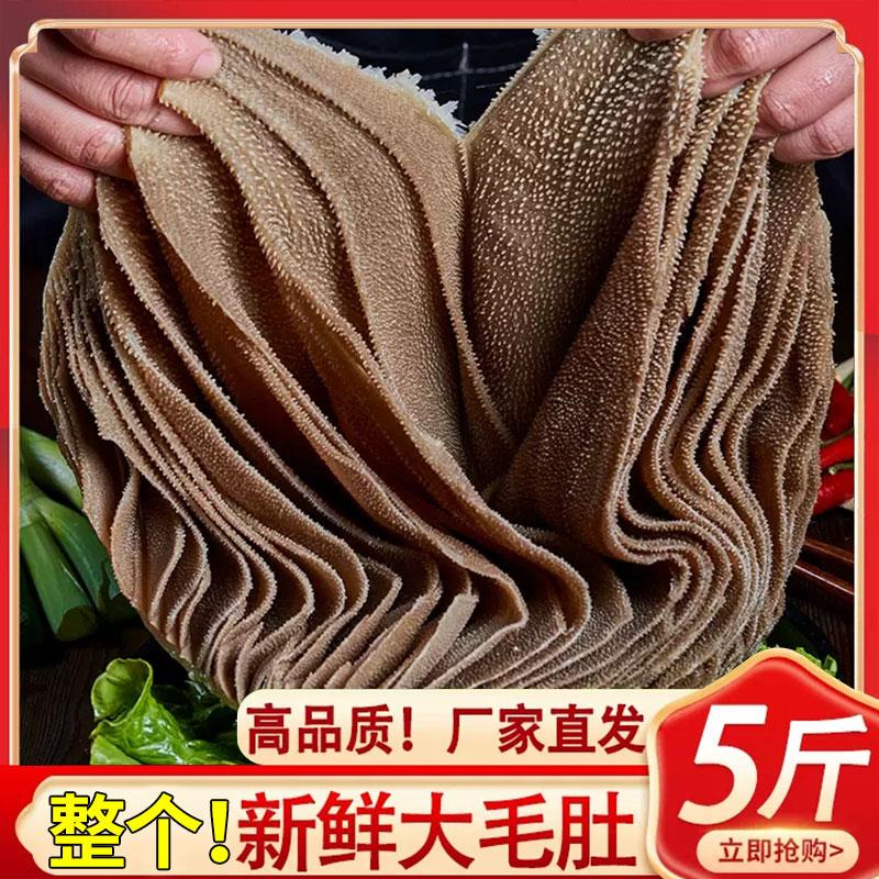 毛肚新鲜整个5斤商用牛百叶黑千层肚大叶片牛肚火锅食材黑毛肚