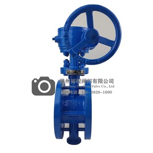 手动硬密封蝶阀 涡轮法兰式 蝶阀 D343H 16C三偏心铸钢不锈钢蝶阀