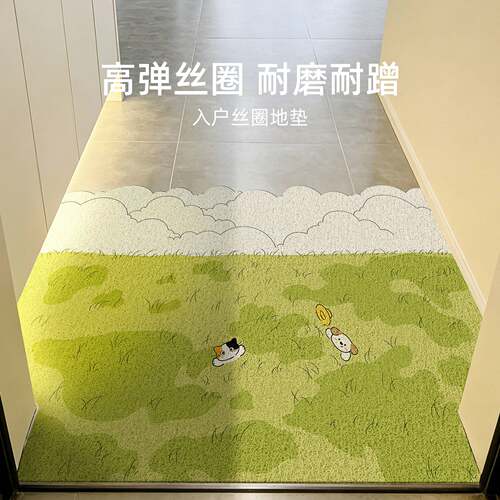 2026新款入户门地垫丝圈脚垫可