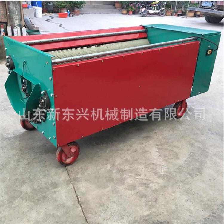 青皮IRG核桃去机核桃脱皮皮小型家用核桃机扒皮机青核桃剥清洗一
