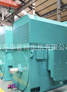 出口朝鲜欧美10kv山华普特YKK高压电动机35wI东P555RUSk315kw