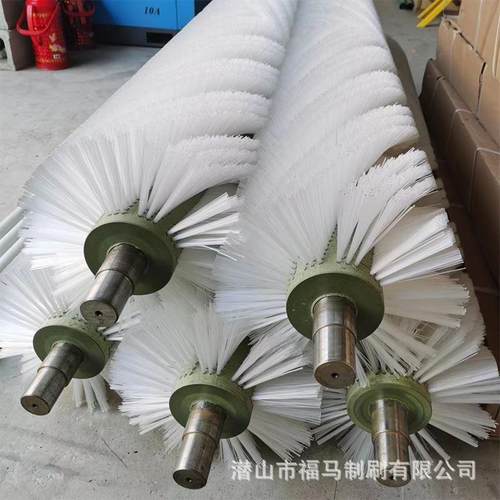 尘果蔬清龙OOB虾洗除抛光机硬毛耐磨辊刷魔芋清洗毛刷辊滚筒毛刷